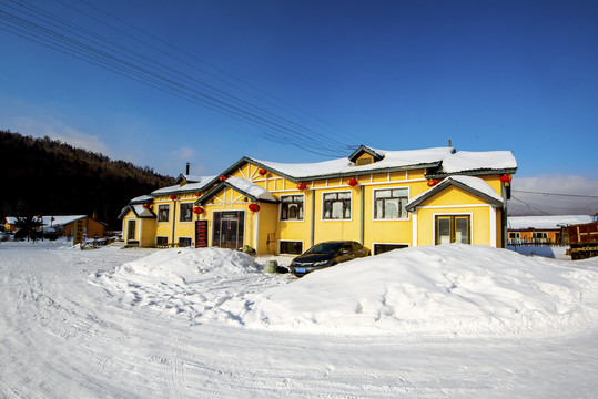 东北农村雪景