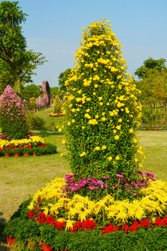 菊花展风采