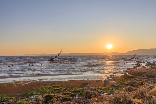 昆明滇池湿地公园夕阳日落