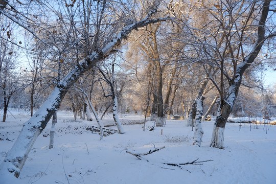 雪景