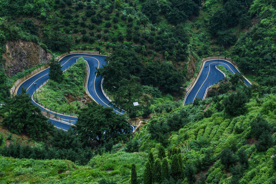 林间道路