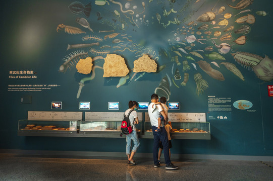上海自然博物馆的生命起源展厅