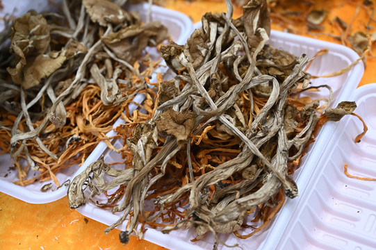 菌菇