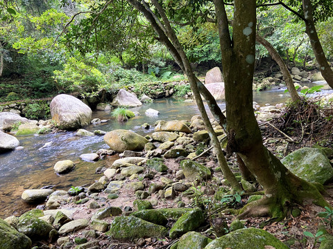 自然风景