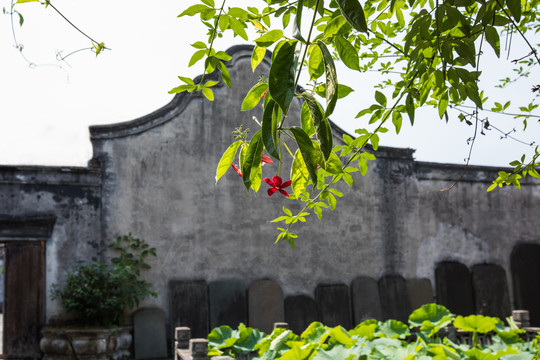 瑞安老城区