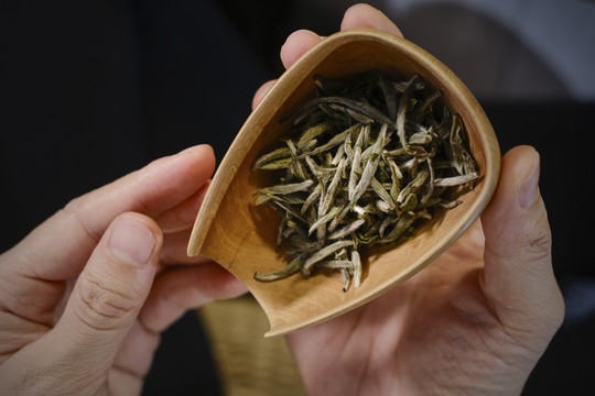 茶礼师泡茶