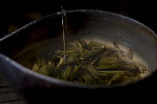 茶礼师泡茶
