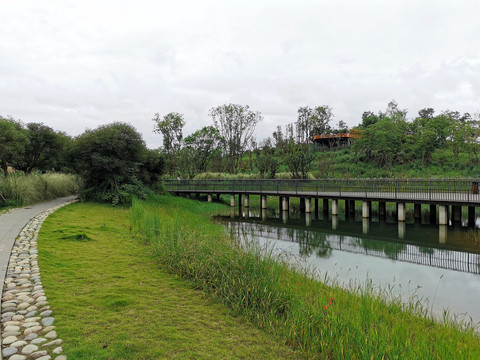 白鹭湾湿地公园