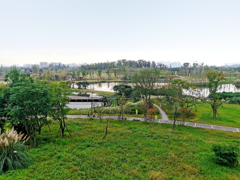 白鹭湾湿地公园