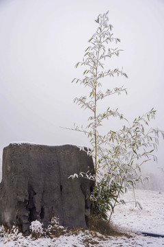 山东青州云门山森林公园雾凇美景