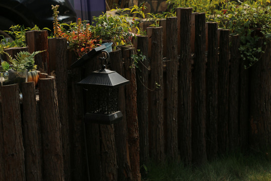 木围栏上的各种绿植盆栽
