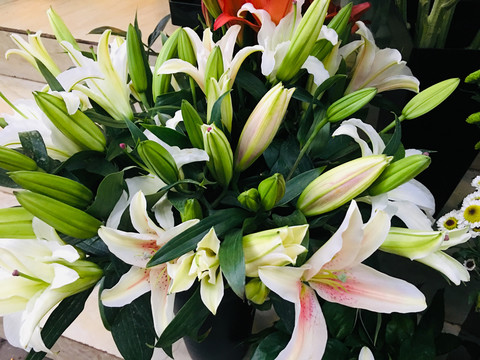 百合花