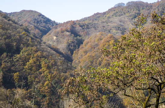 秦岭山景观