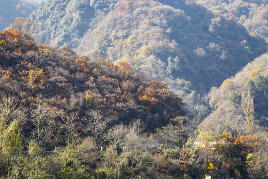 秦岭山秋色