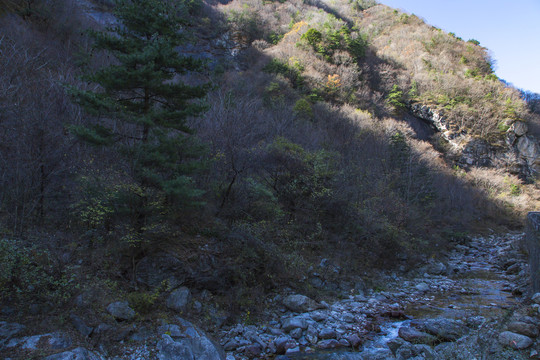 秦岭山秋色