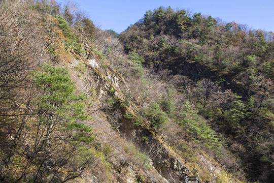 秦岭山风景