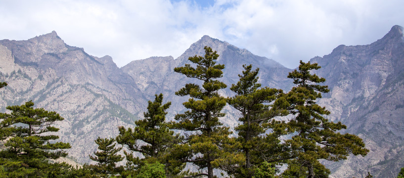 贺兰山