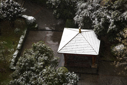 雪景