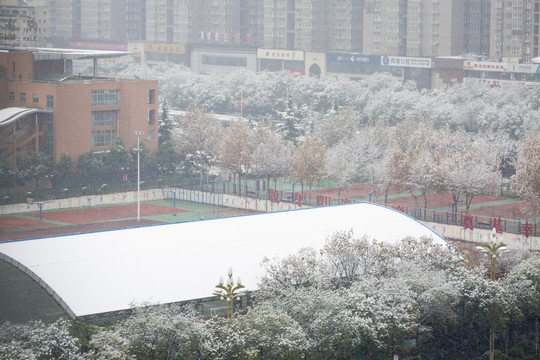 城市雪景