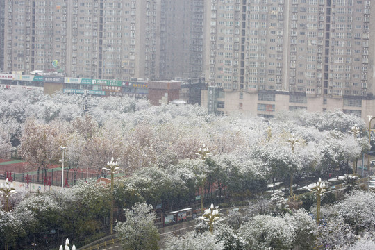 城市雪景