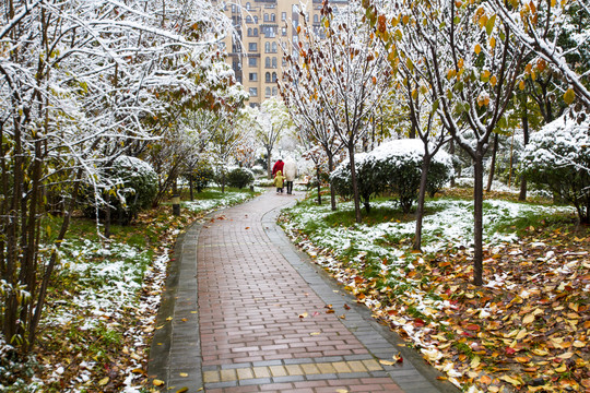 雪景