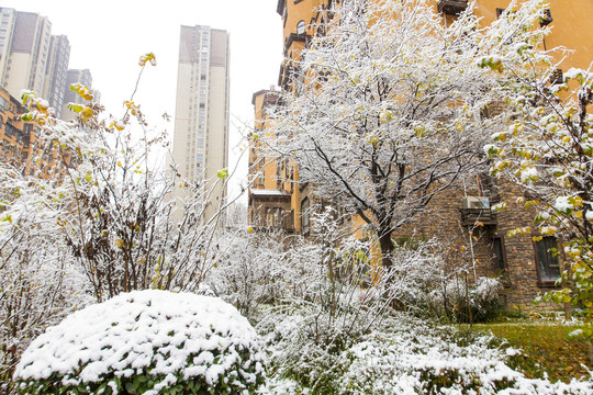 下雪