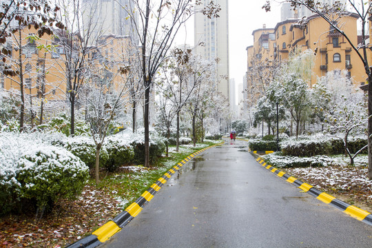 小区雪景