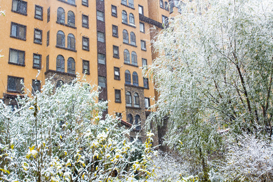 小区雪景