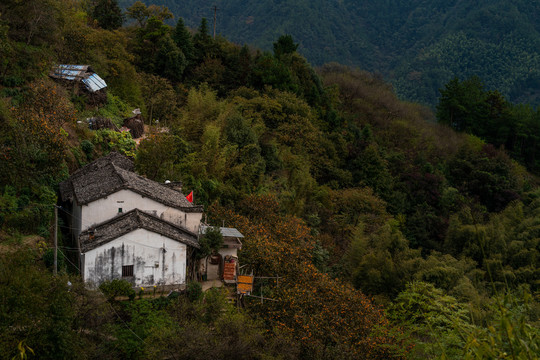 山村秋景