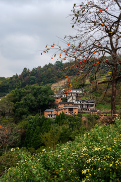 山村秋景