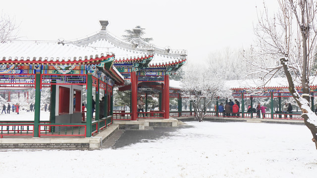 北京天坛公园雪景