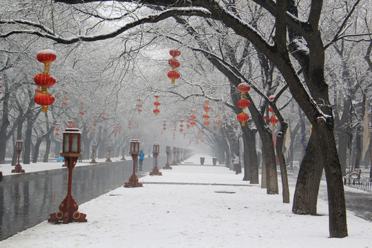 北京天坛公园雪景