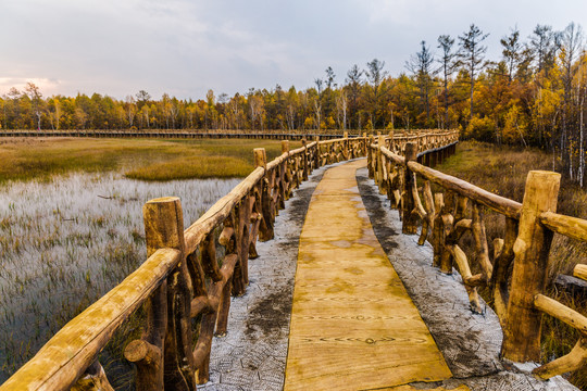 森林湿地回廊栈桥