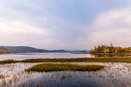 秋季湿地湖泊