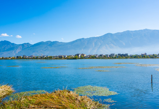 云南鹤庆草海湿地