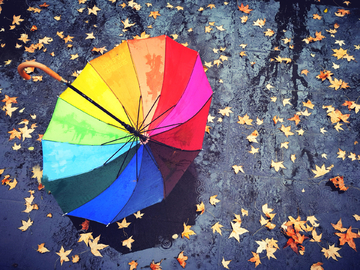 秋雨落叶雨伞