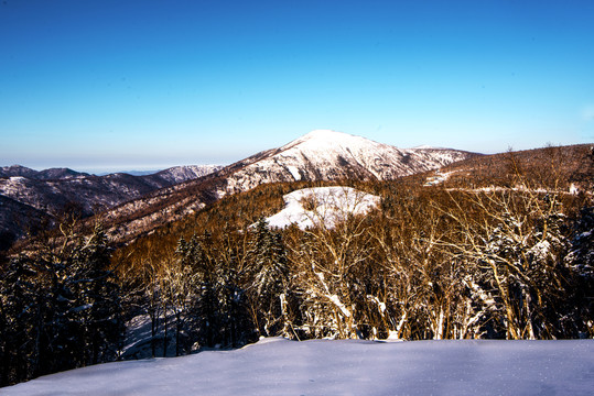 大秃顶子山