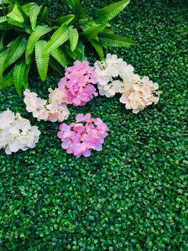 花墙