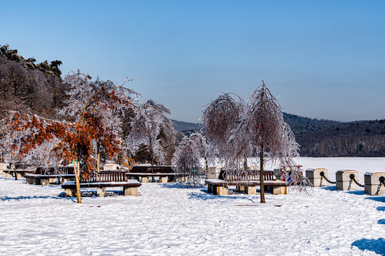 长春净月潭国家森林公园冬季雪景