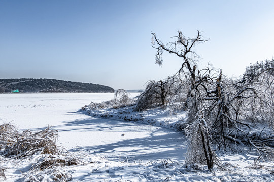 长春净月潭国家森林公园冬季雪景