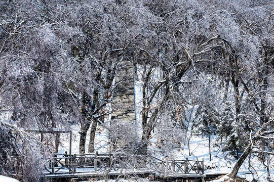 长春净月潭国家森林公园冬季雪景