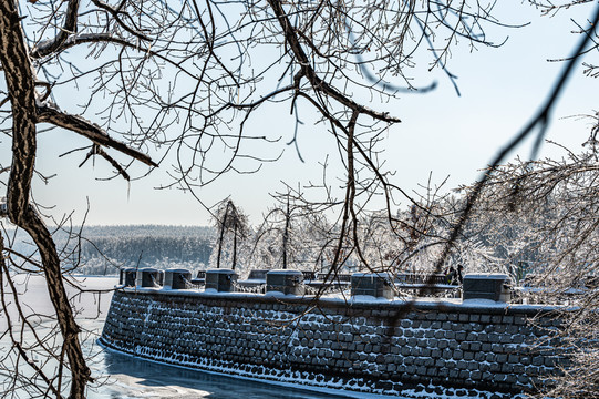 长春净月潭国家森林公园冬季雪景