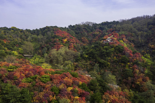 九如山秋景