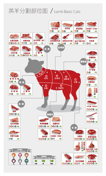 羔羊分割部位图