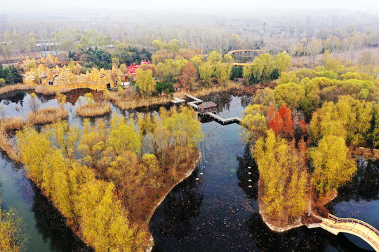 山东微山湖湿地风光