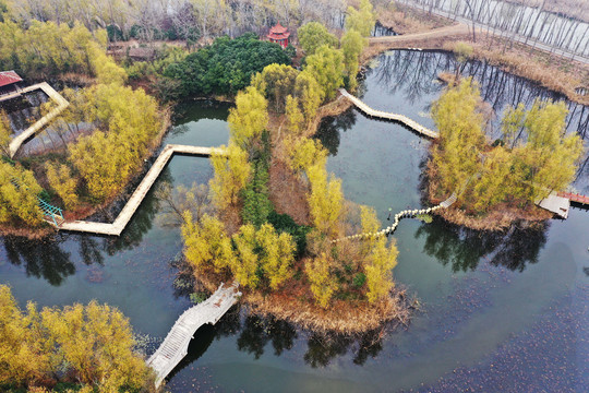 山东微山湖湿地风光