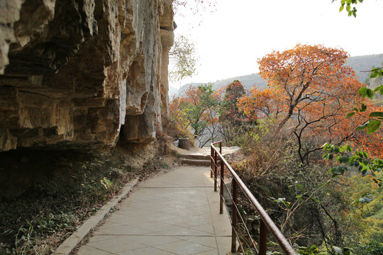 石门坊红叶