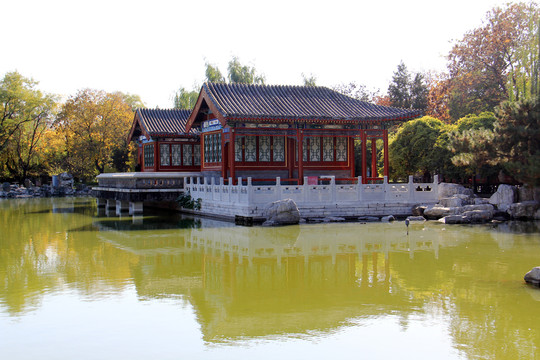 北京大观园秋色