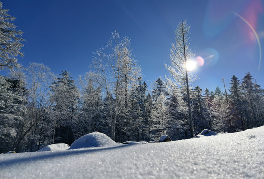 冬天雪景