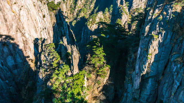 黄山深谷